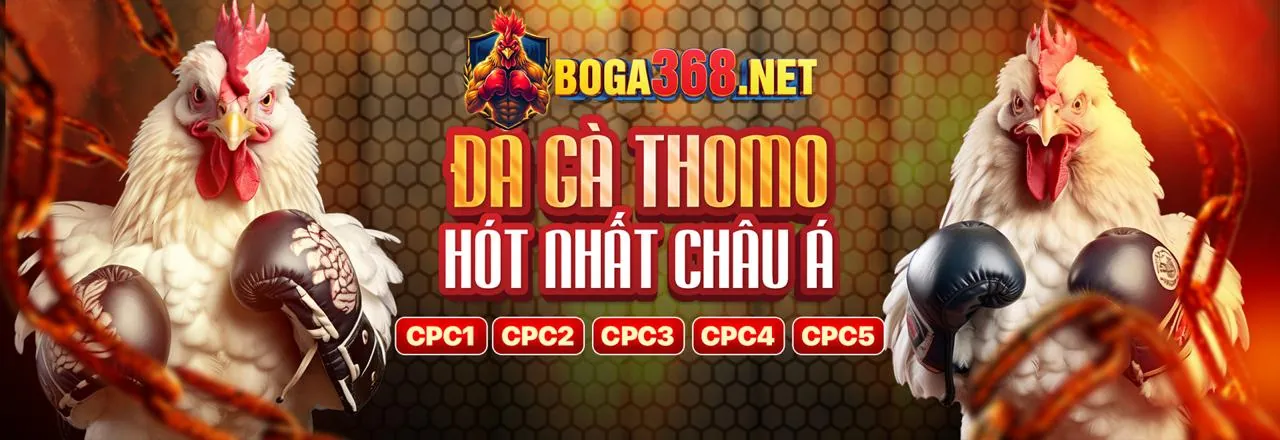 Hình ảnh chính quy trình đăng ký hbbet